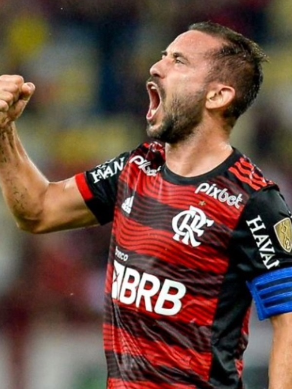 Everton Flamengo